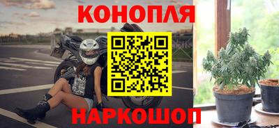 винт Дубна