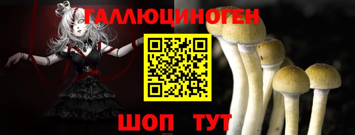 Галлюциногенные грибы мухоморы  Вход с VPN  Галлюциногенные грибы Psilocybine cubensis  Сатка 